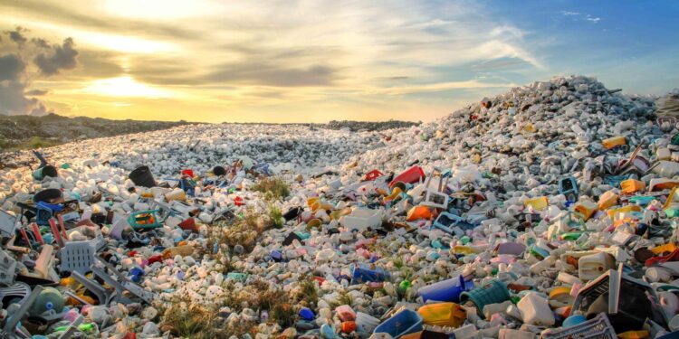 People disposing of waste incorrectly in St Peter Port – BBC