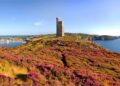 Isle of Man announces new rights for shared parental leave and parental bereavement leave – employeebenefits.co.uk