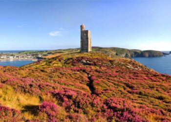 Isle of Man announces new rights for shared parental leave and parental bereavement leave – employeebenefits.co.uk