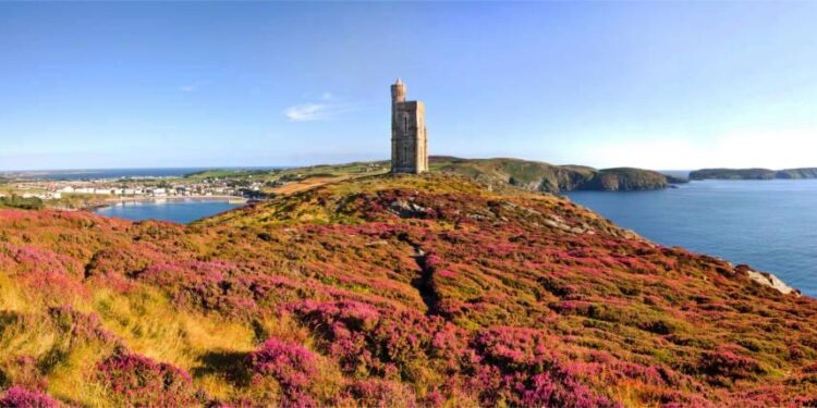 Isle of Man announces new rights for shared parental leave and parental bereavement leave – employeebenefits.co.uk