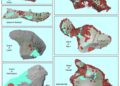 Wildfire Map Spotlight: Portugal And Spain Wildfires – IQAir