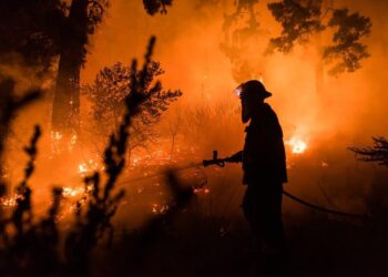 UAE continues efforts to extinguish wildfires in Albania – Sharjah24