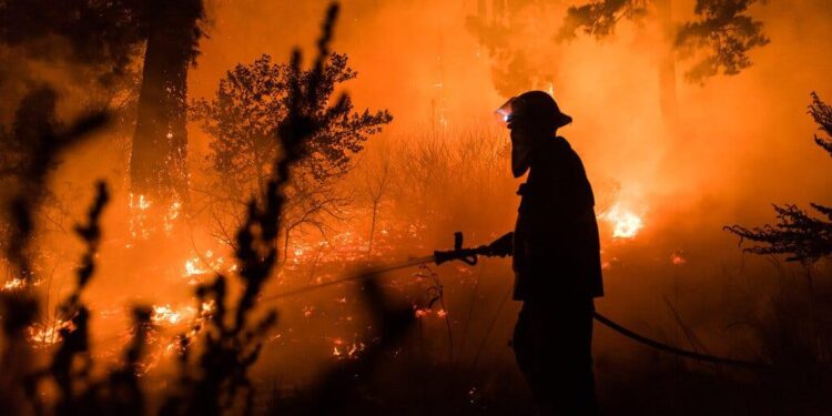 UAE continues efforts to extinguish wildfires in Albania – Sharjah24