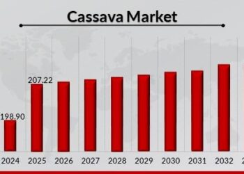 UK’s Cassava Market Expected to Grow at CAGR of +0.8% Over Next Decade – IndexBox