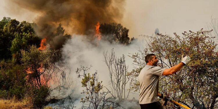 Wildfires ravage Spain and Portugal as Europe suffers devastating fire season – Courthouse News Service