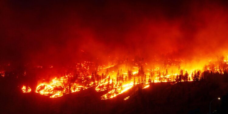 Raging wildfires close section of Spain’s world-famous walking route – The Independent