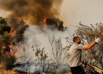 Firefighters struggle to contain wildfires as heatwave sears Turkey and Cyprus – Reuters