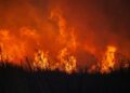 Wildfires rage in Spain and Portugal amid searing heat – The Guardian