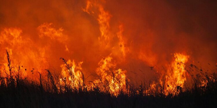 Wildfires rage in Spain and Portugal amid searing heat – The Guardian