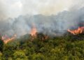 Solidarity in action: EU continues to help North Macedonia’s fight against wildfires – EEAS