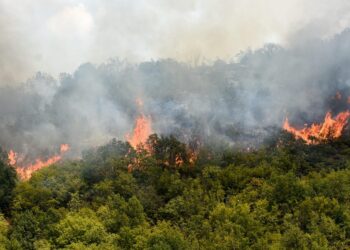 Solidarity in action: EU continues to help North Macedonia’s fight against wildfires – EEAS
