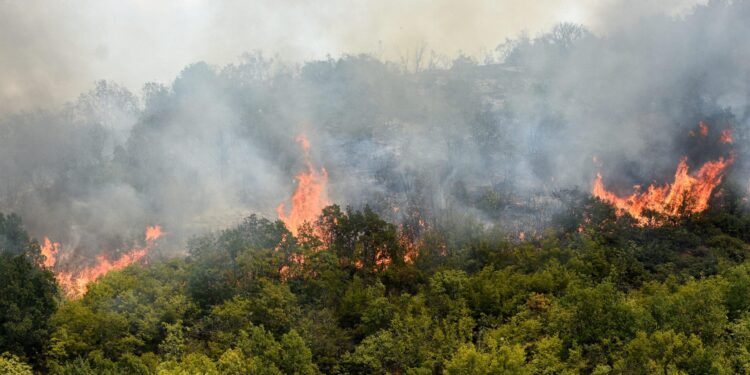 Solidarity in action: EU continues to help North Macedonia’s fight against wildfires – EEAS
