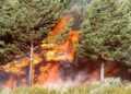 Spain and Portugal fires: Two more dead as Spanish troops battle blazes – BBC