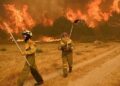 Spain sees worst wildfire damage since 1994 with 382,607 hectares lost – Euronews.com