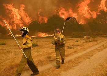 Spain sees worst wildfire damage since 1994 with 382,607 hectares lost – Euronews.com