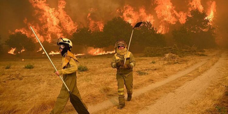 Spain sees worst wildfire damage since 1994 with 382,607 hectares lost – Euronews.com