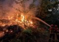 Portugal counts the cost of its biggest ever forest fire – Caledonian Record