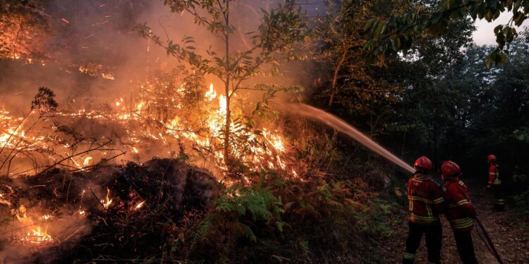Portugal counts the cost of its biggest ever forest fire – Caledonian Record