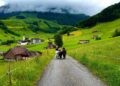 In This Swiss Mountain Village, Cheese Lockers Line Hiking Trails – Field Mag