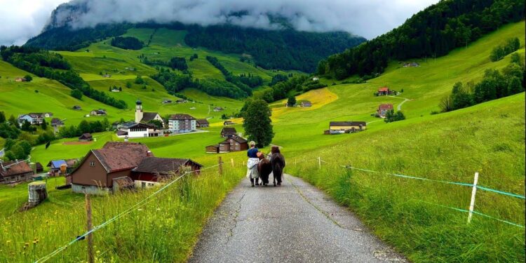 In This Swiss Mountain Village, Cheese Lockers Line Hiking Trails – Field Mag