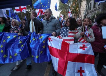 Parliament calls for new elections in Georgia – European Parliament