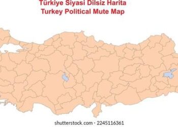 Türkiye’s young generation favors state role against disinformation – Türkiye Today