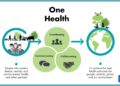 One Health approach uncovers emergence and dynamics of Usutu and West Nile viruses in the Netherlands – Nature