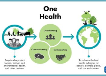 One Health approach uncovers emergence and dynamics of Usutu and West Nile viruses in the Netherlands – Nature
