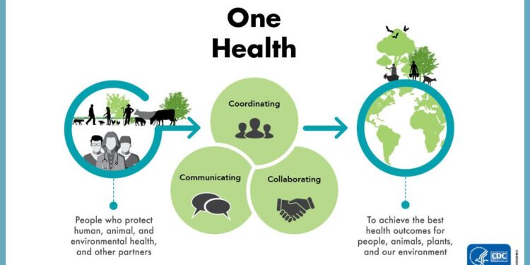 One Health approach uncovers emergence and dynamics of Usutu and West Nile viruses in the Netherlands – Nature