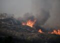 Fatal wildfire on Cyprus caused by ‘carelessly discarded cigarette,’ report finds – The Independent