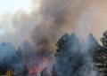 36 fires in Kosovo today, 4 still active – Gazeta Express