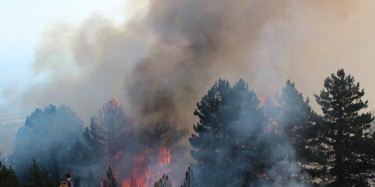 36 fires in Kosovo today, 4 still active – Gazeta Express