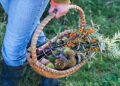 They Foraged. They Hunted. They Feasted. – The New York Times