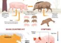 Largest African swine fever outbreak of 2025 recorded in Latvia – Baltic News Network
