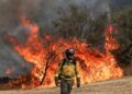 How Europe Lost an Area the Size of Cyprus to Wildfires This Year – Bloomberg