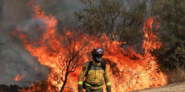 How Europe Lost an Area the Size of Cyprus to Wildfires This Year – Bloomberg