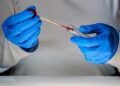 DNA Analysis Identifies Origin of Slavs In Modern-Day Belarus and Ukraine – Brno Daily