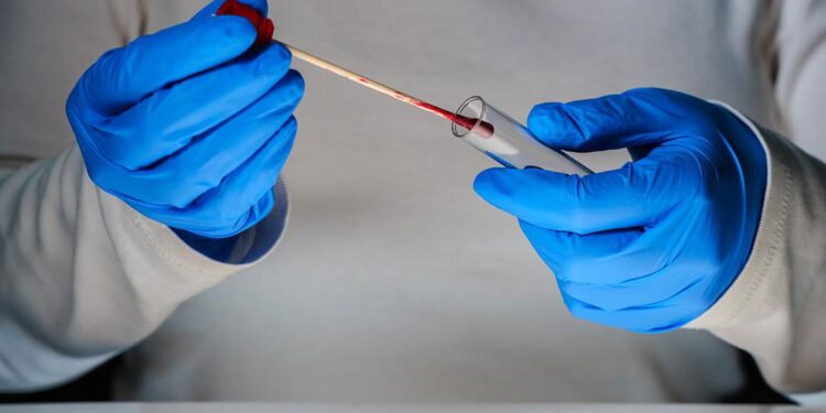 DNA Analysis Identifies Origin of Slavs In Modern-Day Belarus and Ukraine – Brno Daily