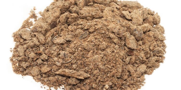 48 tons of sunflower meal from Kazakhstan detained at Chaldovar checkpoint due to lack of certificate – AKI Press
