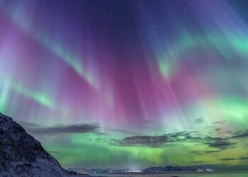 Northern Lights: a CO2 transport and storage project to reduce industrial emissions in Europe – TotalEnergies.com