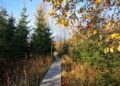 Explore the Pramenisko Nature Trail: A Hidden Gem in Slovakia’s Tatra National Park – Travel And Tour World