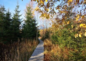 Explore the Pramenisko Nature Trail: A Hidden Gem in Slovakia’s Tatra National Park – Travel And Tour World