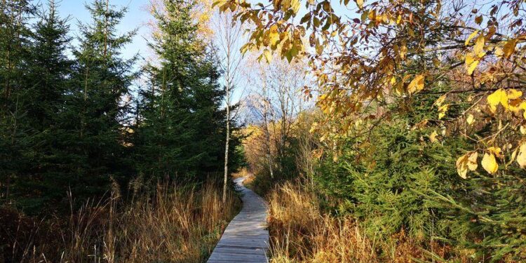 Explore the Pramenisko Nature Trail: A Hidden Gem in Slovakia’s Tatra National Park – Travel And Tour World