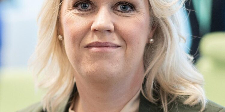 Watch: Sweden’s new health minister Elisabet Lann collapses; was holding live press briefing – Times of India
