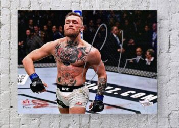 Conor McGregor withdraws bid to contest Ireland’s presidential election – Yahoo News Canada