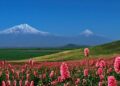 Pashinyan’s Government Removes Mt. Ararat from Visa Stamps, Causing Uproar in Armenia, Elation in Turkey – Asbarez