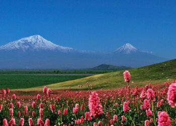 Pashinyan’s Government Removes Mt. Ararat from Visa Stamps, Causing Uproar in Armenia, Elation in Turkey – Asbarez