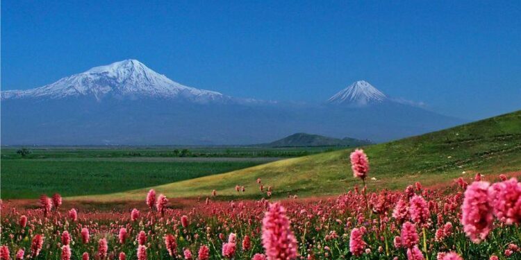 Pashinyan’s Government Removes Mt. Ararat from Visa Stamps, Causing Uproar in Armenia, Elation in Turkey – Asbarez