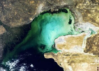 Tourism, flora and fauna at risk, as Caspian Sea shrinks – Azerbaijani experts – qazinform.com