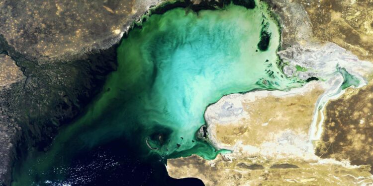 Tourism, flora and fauna at risk, as Caspian Sea shrinks – Azerbaijani experts – qazinform.com